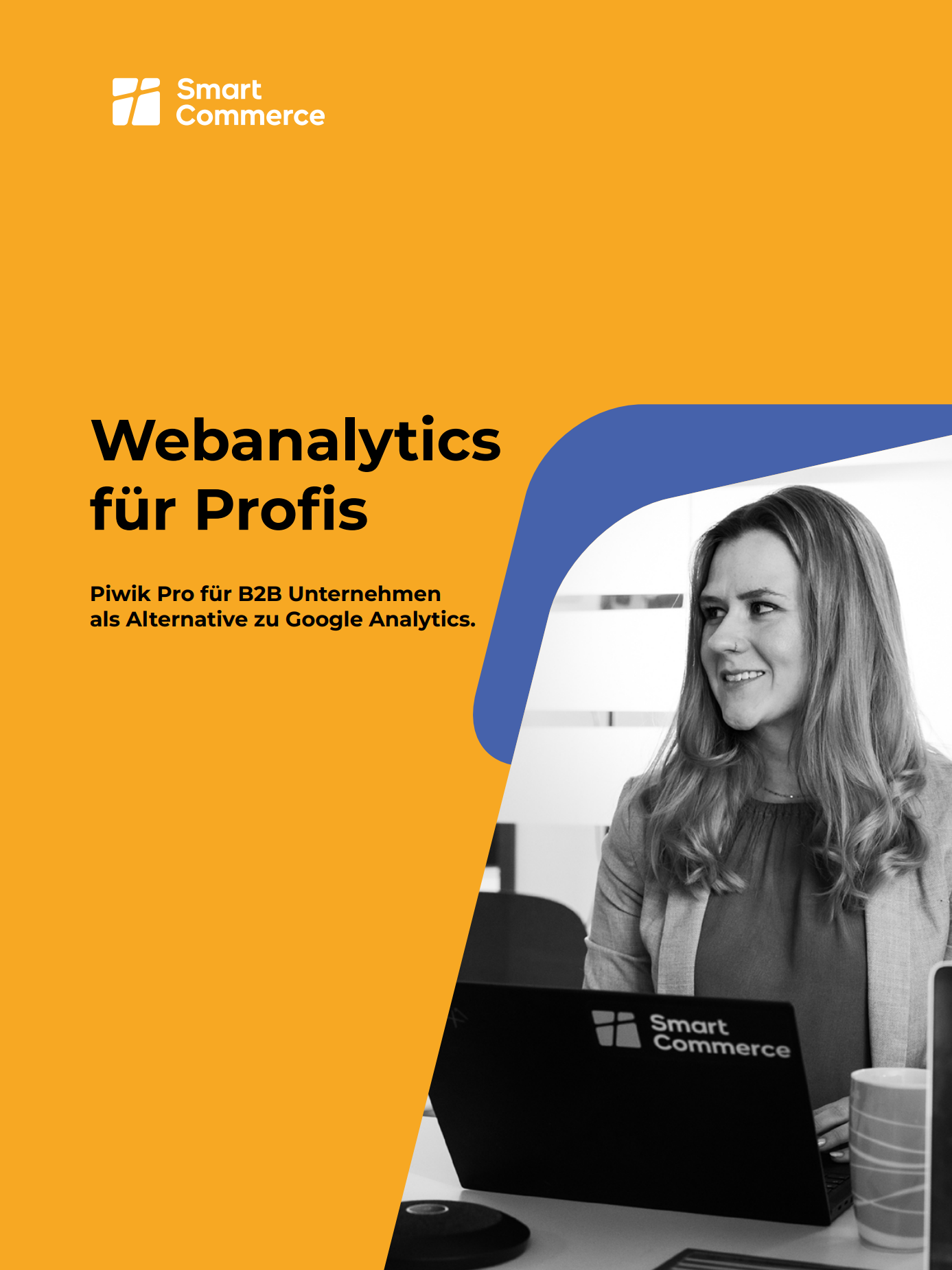 [Translate to Englisch:] Whitepaper Teaser Webanalytics für Profis
